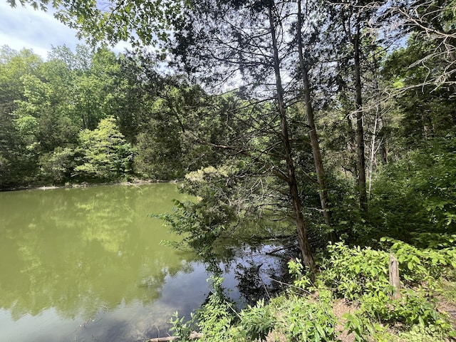 247 Hideaway, Owenton, KY 40359 - water view featuring a heavily wooded area