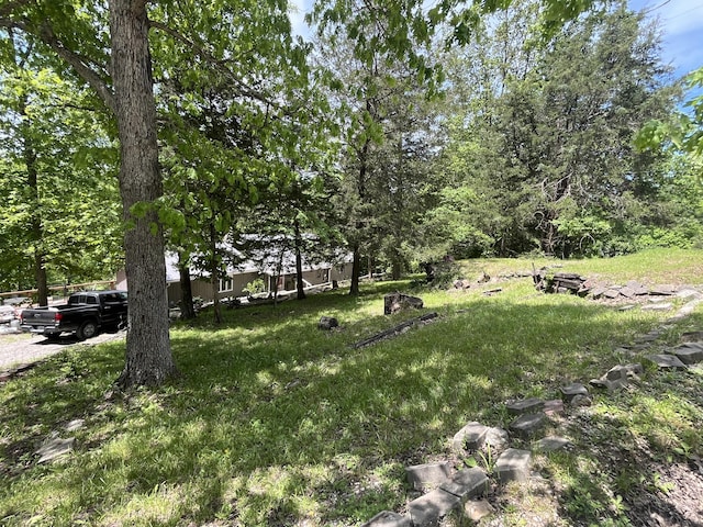247 Hideaway, Owenton, KY 40359 - view of grassy yard