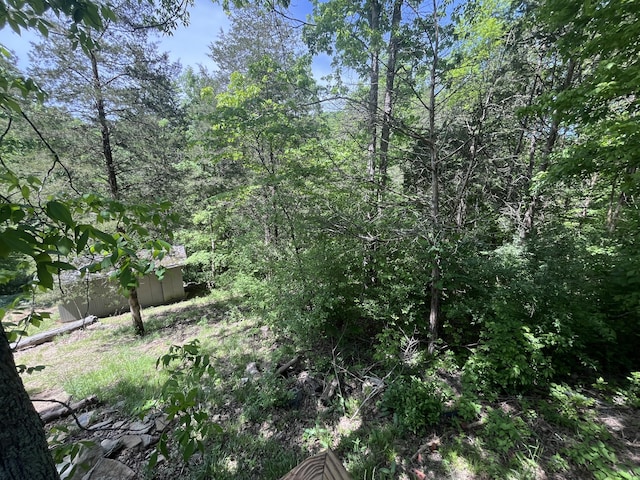 247 Hideaway, Owenton, KY 40359 - view of yard featuring a view of trees and an outdoor structure