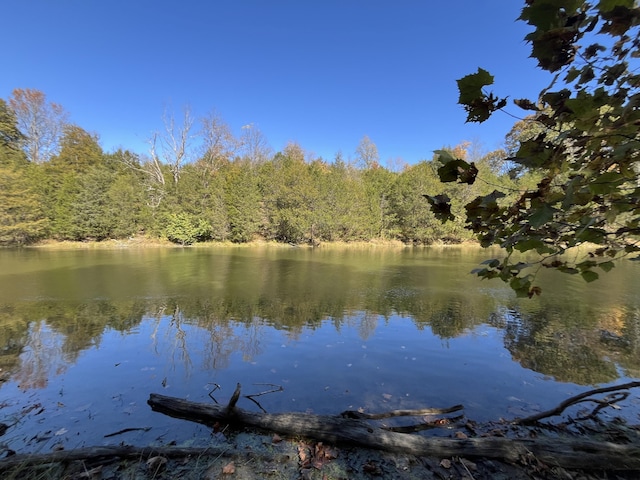 247 Hideaway, Owenton, KY 40359 - water view featuring a forest