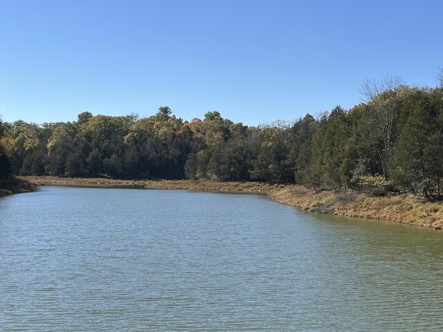 247 Hideaway, Owenton, KY 40359 - water view featuring a forest