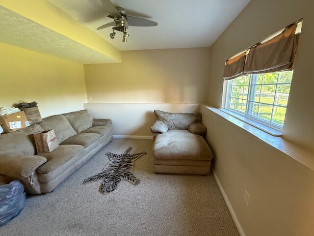 living room with carpet, baseboards, and ceiling fan