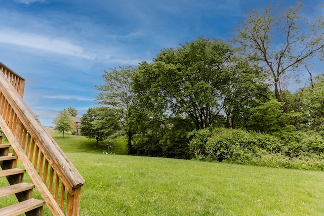 view of grassy yard with stairs
