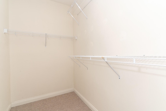567 Riverpointe Dr Unit 11, Dayton, KY 41074 - walk in closet with light carpet