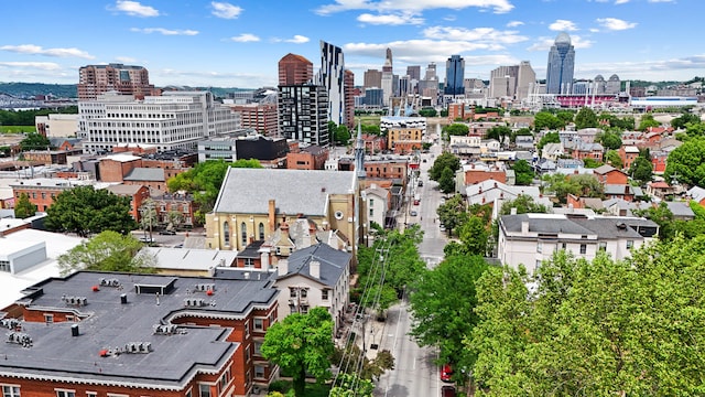 519 Greenup St Unit A, Covington, KY 41011 - view of city skyline