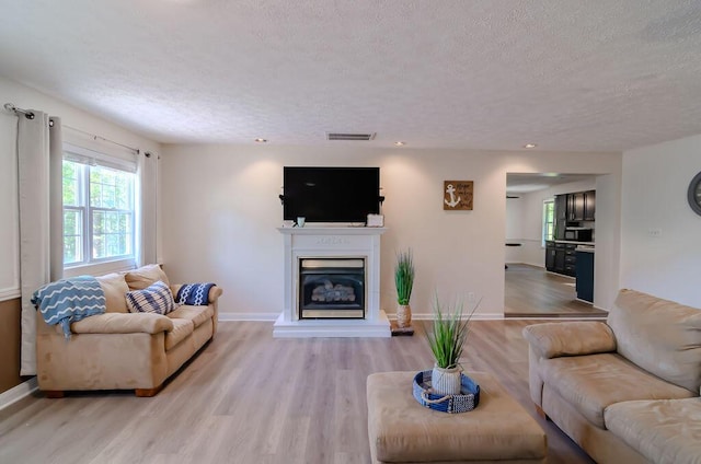 6740 Wisdom Dock Rd, Albany, KY 42602 - living area featuring a textured ceiling, baseboards, light wood-type flooring, and a glass covered fireplace