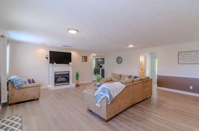 6740 Wisdom Dock Rd, Albany, KY 42602 - living room with light wood-type flooring, a glass covered fireplace, baseboards, a textured ceiling, and healthy amount of natural light