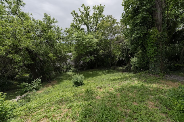 2789 Madison Ave, Covington, KY 41015 - view of grassy yard with a forest view