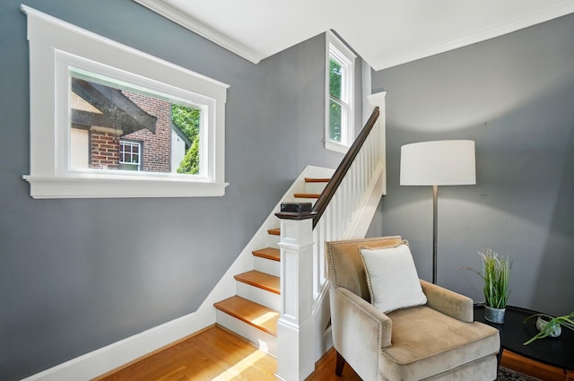 1126 Audubon Rd, Park Hills, KY 41011 - staircase featuring wood finished floors, baseboards, and crown molding