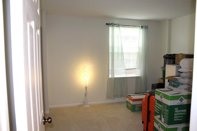 515 Telescope Vw Unit 103, Wilder, KY 41076 - recreation room with carpet and baseboards