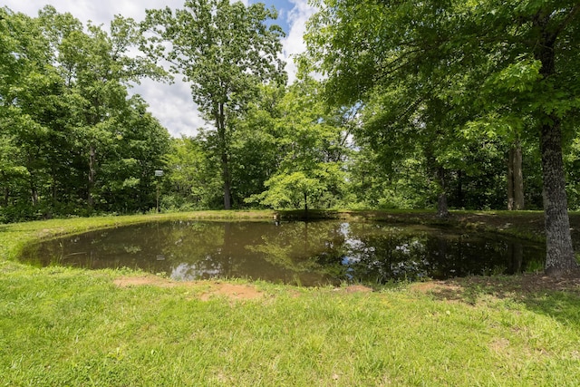 505 Fords Mill Rd, Dry Ridge, KY 41035 - water view
