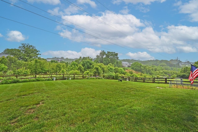 10113 Lapalco Ct, Union, KY 41091 - view of yard