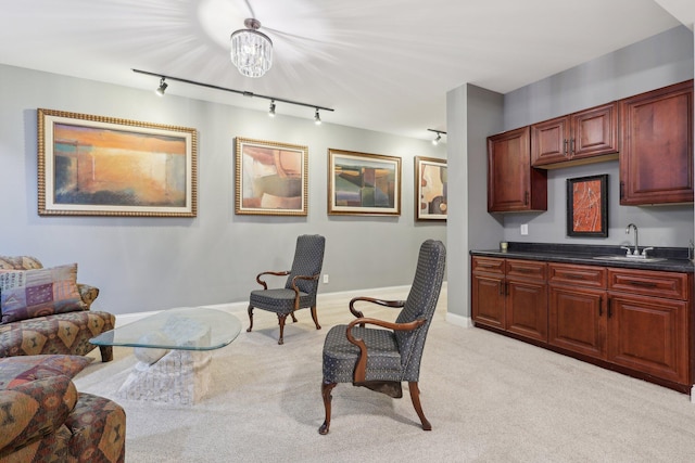 3270 Ballantree Way, Verona, KY 41092 - living area featuring rail lighting, carpet, baseboards, and bar with sink