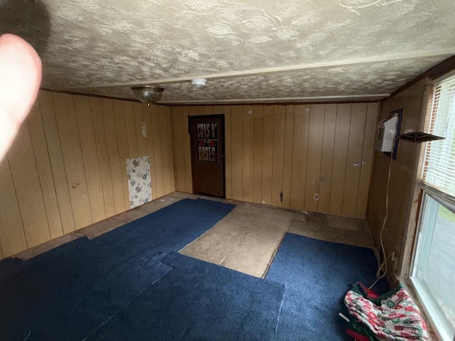12544 Klein Rd, Morning View, KY 41063 - carpeted empty room with wooden walls and a textured ceiling