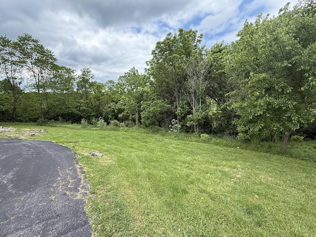 12544 Klein Rd, Morning View, KY 41063 - view of grassy yard with a view of trees