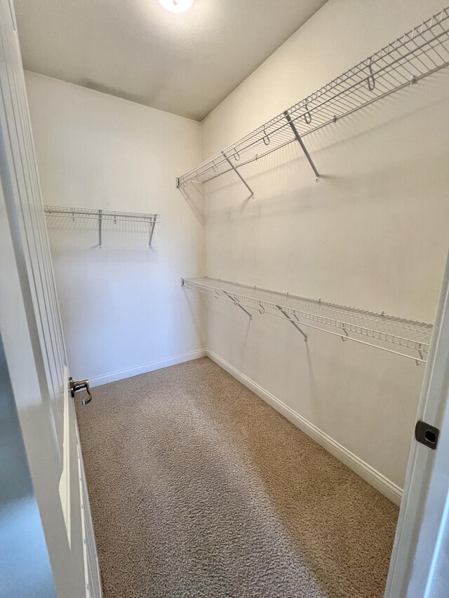1859 Riverpointe Ct Unit 11, Dayton, KY 41074 - walk in closet with carpet