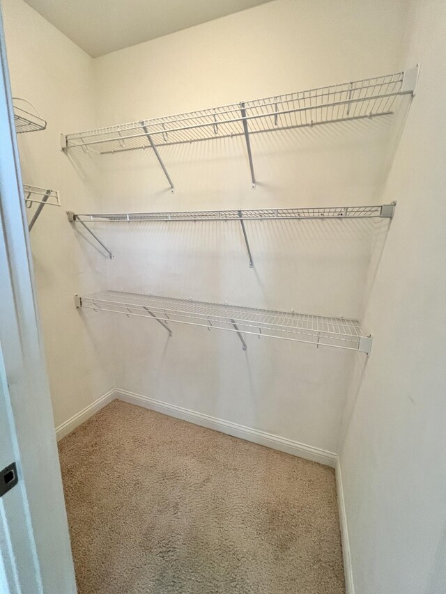 1859 Riverpointe Ct Unit 11, Dayton, KY 41074 - walk in closet featuring carpet