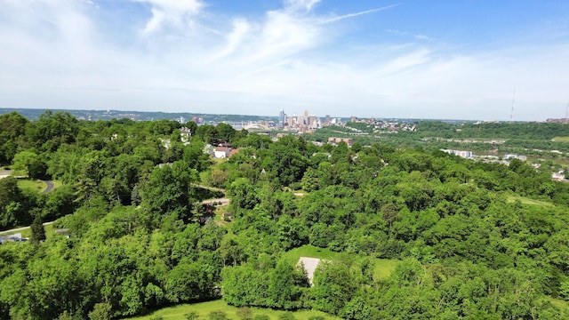1859 Riverpointe Ct Unit 11, Dayton, KY 41074 - bird's eye view of a heavily wooded area