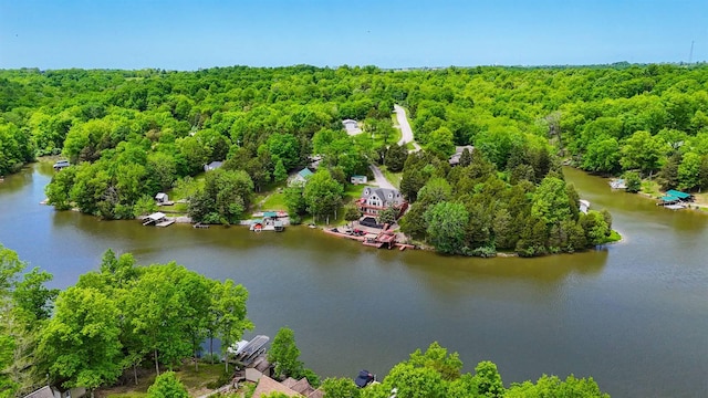 445 Elk Lake Resort Rd Unit 882, Owenton, KY 40359 - bird's eye view of a forest and a nearby body of water