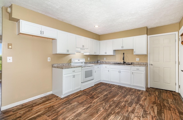 1750 Walnut Lick Rd, Verona, KY 41092 - kitchen with electric stove, a sink, under cabinet range hood, dark wood-style floors, and white cabinetry
