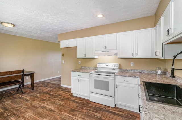 1750 Walnut Lick Rd, Verona, KY 41092 - kitchen with white electric range, under cabinet range hood, a sink, a textured ceiling, and dark wood-style flooring