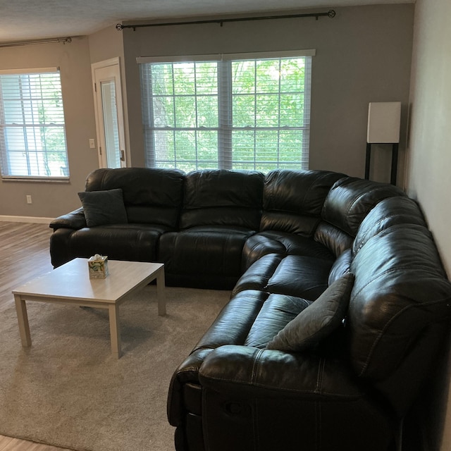 351 Deepwoods Dr, Newport, KY 41076 - living area with wood finished floors and baseboards