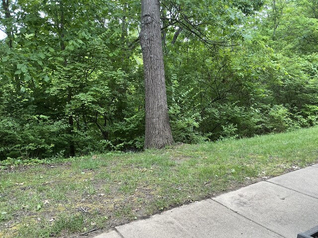 351 Deepwoods Dr, Newport, KY 41076 - view of yard with a wooded view