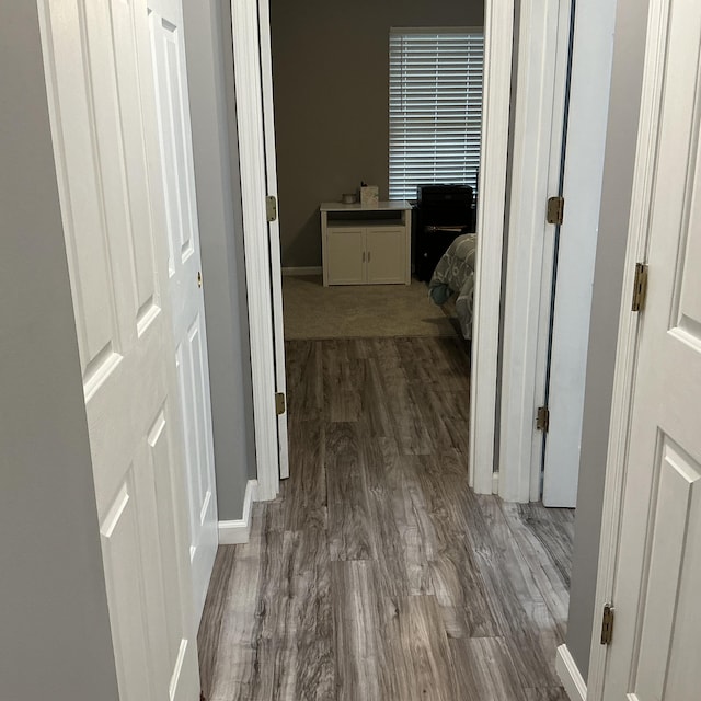 351 Deepwoods Dr, Newport, KY 41076 - hall featuring dark wood-style floors and baseboards