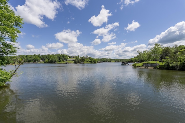 310 Greene Rd, Williamstown, KY 41097 - water view