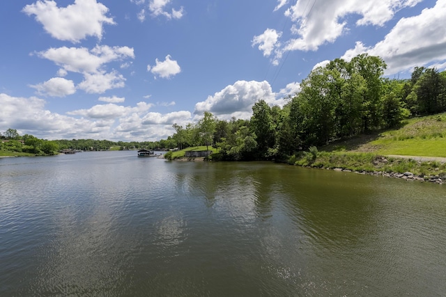 310 Greene Rd, Williamstown, KY 41097 - water view