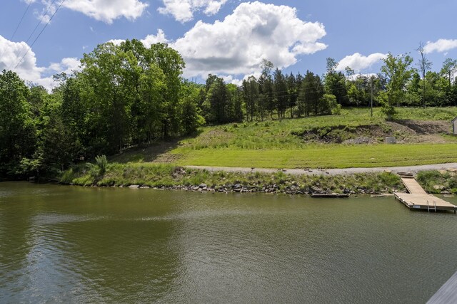 310 Greene Rd, Williamstown, KY 41097 - water view