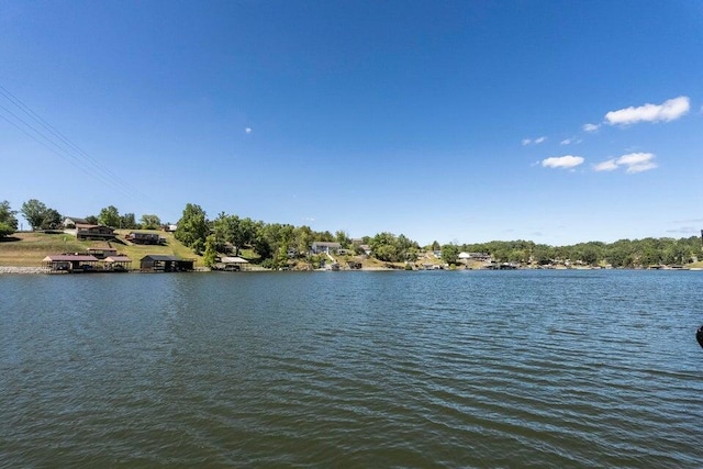 510 Jacob Dr, Williamstown, KY 41097 - water view