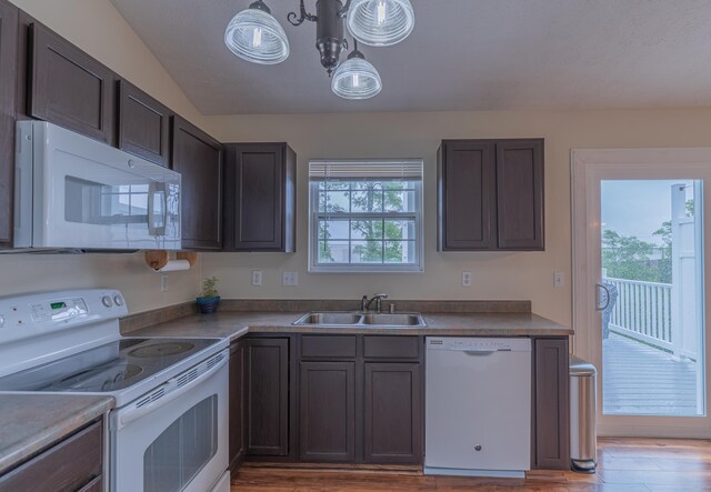 2780 Berwood Ln, Hebron, KY 41048 - kitchen featuring white appliances, light wood-style floors, and dark brown cabinets