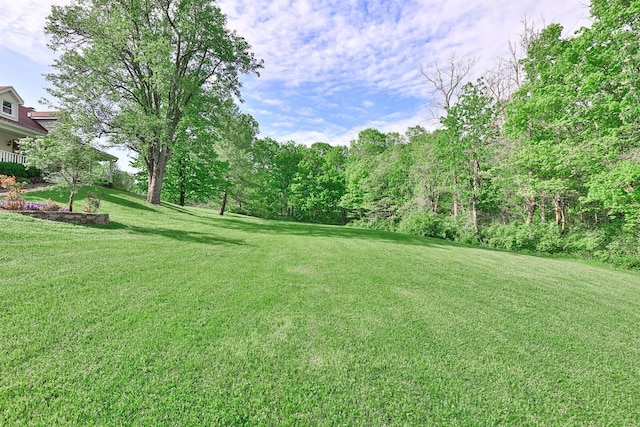 2281 Petersburg Rd, Hebron, KY 41048 - photo 33