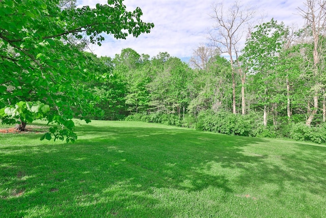 2281 Petersburg Rd, Hebron, KY 41048 - photo 36