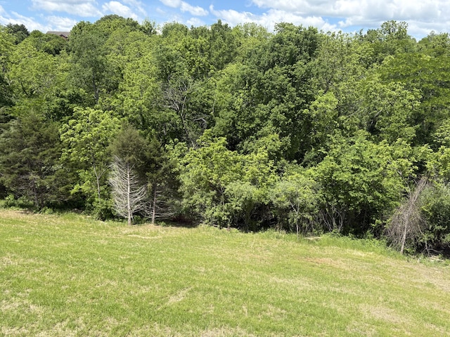 160 Saddlebrook Ln, Dry Ridge, KY 41035 - view of tree filled area