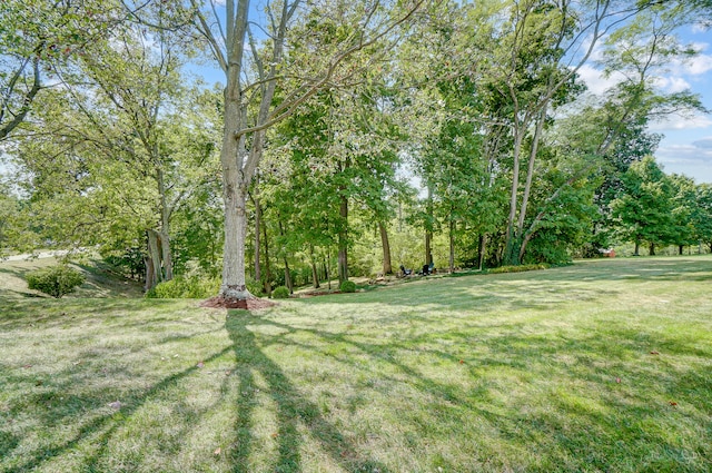12002 Southridge Dr, Walton, KY 41094 - view of green lawn