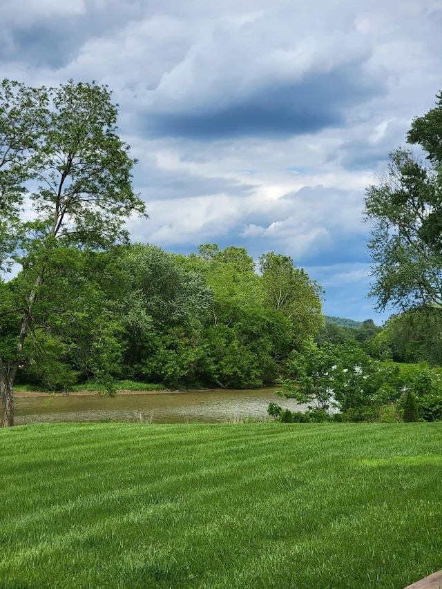 626 E 2nd St, Augusta, KY 41002 - view of grassy yard with a water view and a forest view