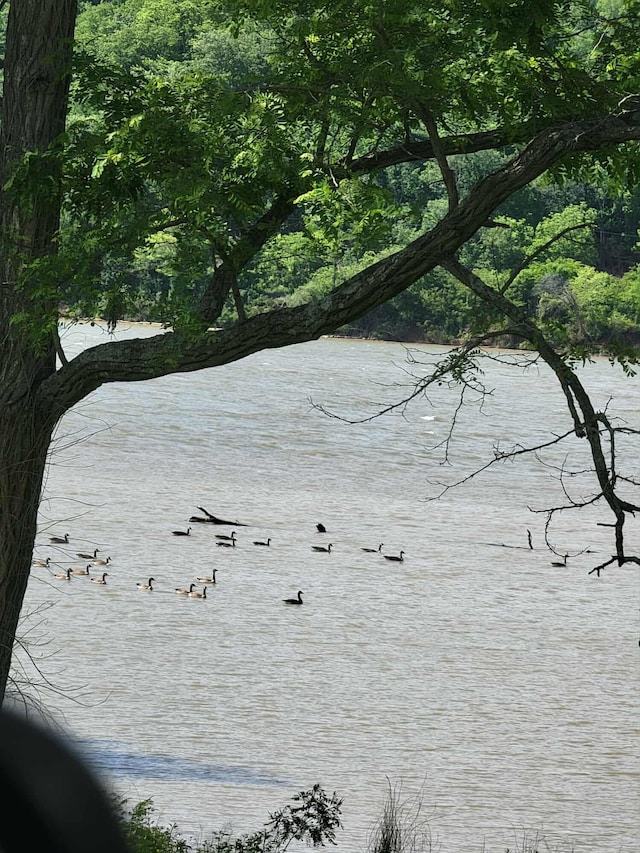 626 E 2nd St, Augusta, KY 41002 - water view