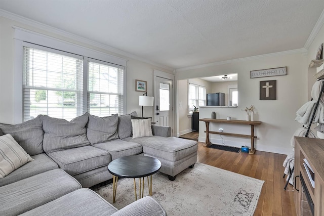 406 Hallam Ave, Erlanger, KY 41018 - living area featuring crown molding, wood-type flooring, baseboards, and a textured ceiling