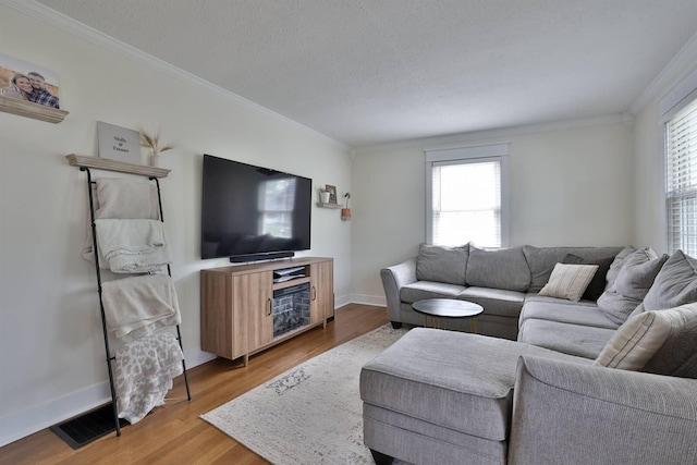 406 Hallam Ave, Erlanger, KY 41018 - living room with crown molding, plenty of natural light, wood finished floors, baseboards, and a textured ceiling