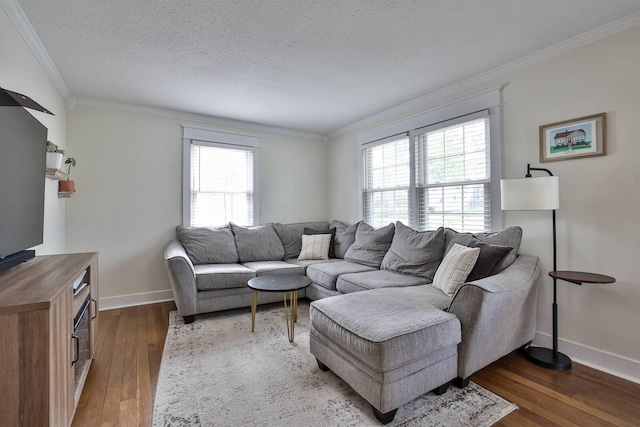 406 Hallam Ave, Erlanger, KY 41018 - living area with dark wood-style flooring, ornamental molding, baseboards, and a textured ceiling
