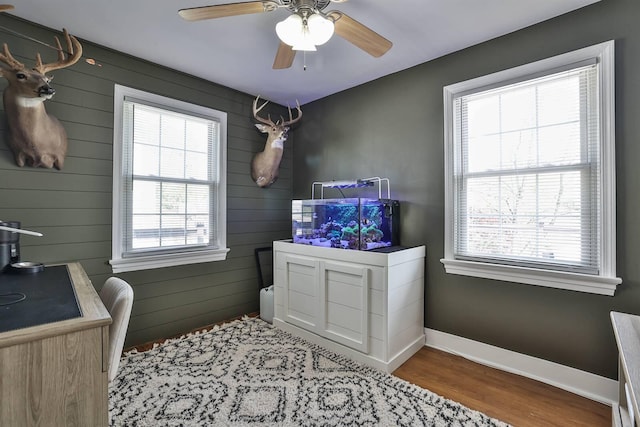 406 Hallam Ave, Erlanger, KY 41018 - office area with wood finished floors, a ceiling fan, baseboards, and wooden walls