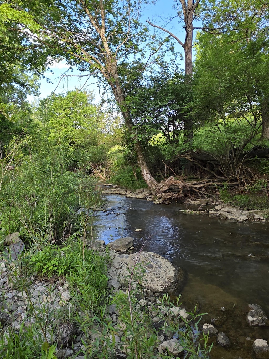 0 California Cross Rd, California, KY 41007