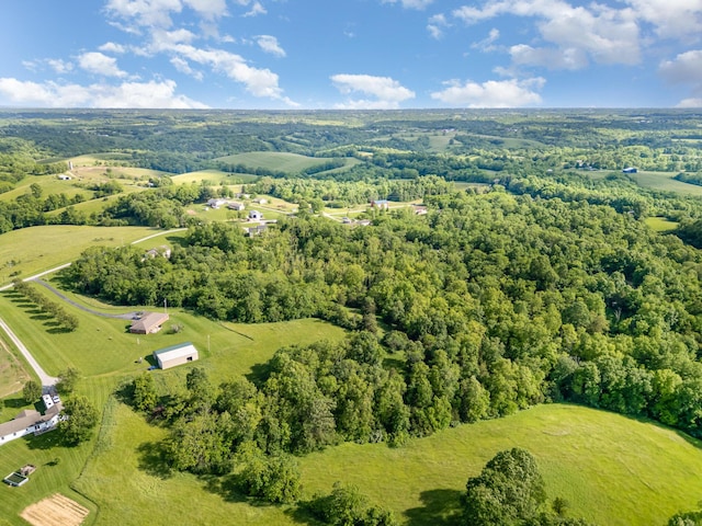 1500 Heathen Ridge Rd, Crittenden, KY 41030 - view of property location with a forest and rural landscape