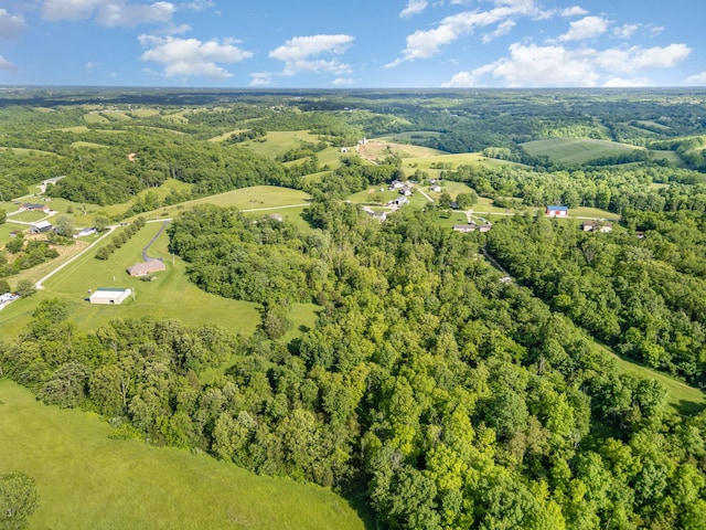 1500 Heathen Ridge Rd, Crittenden, KY 41030 - aerial view of property and surrounding area featuring a heavily wooded area