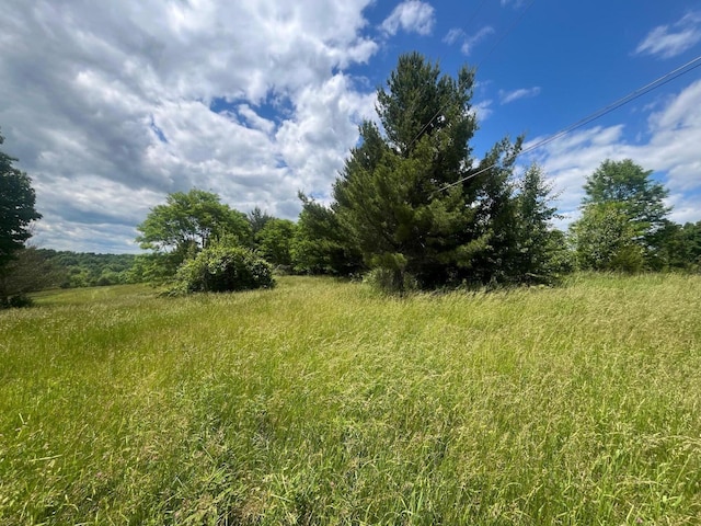 2110 Lemon Northcutt Rd, Dry Ridge, KY 41035 - photo 5