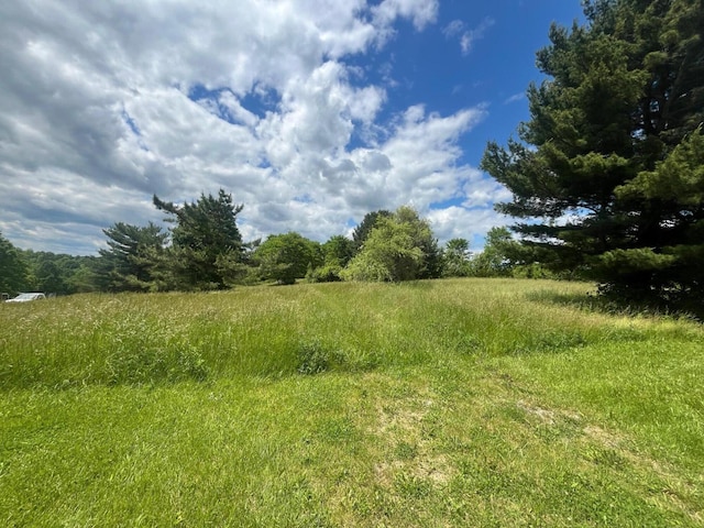 2110 Lemon Northcutt Rd, Dry Ridge, KY 41035 - photo 2