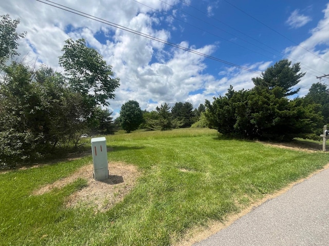 2110 Lemon Northcutt Rd, Dry Ridge, KY 41035 - photo 6