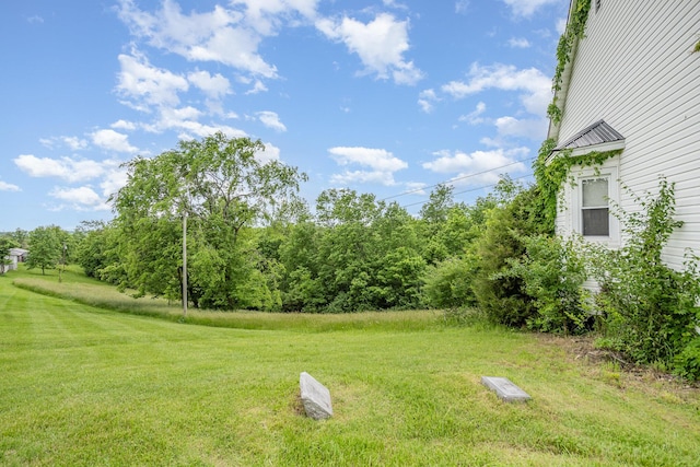 5489 Bridgeville Rd, Brooksville, KY 41004 - view of green lawn